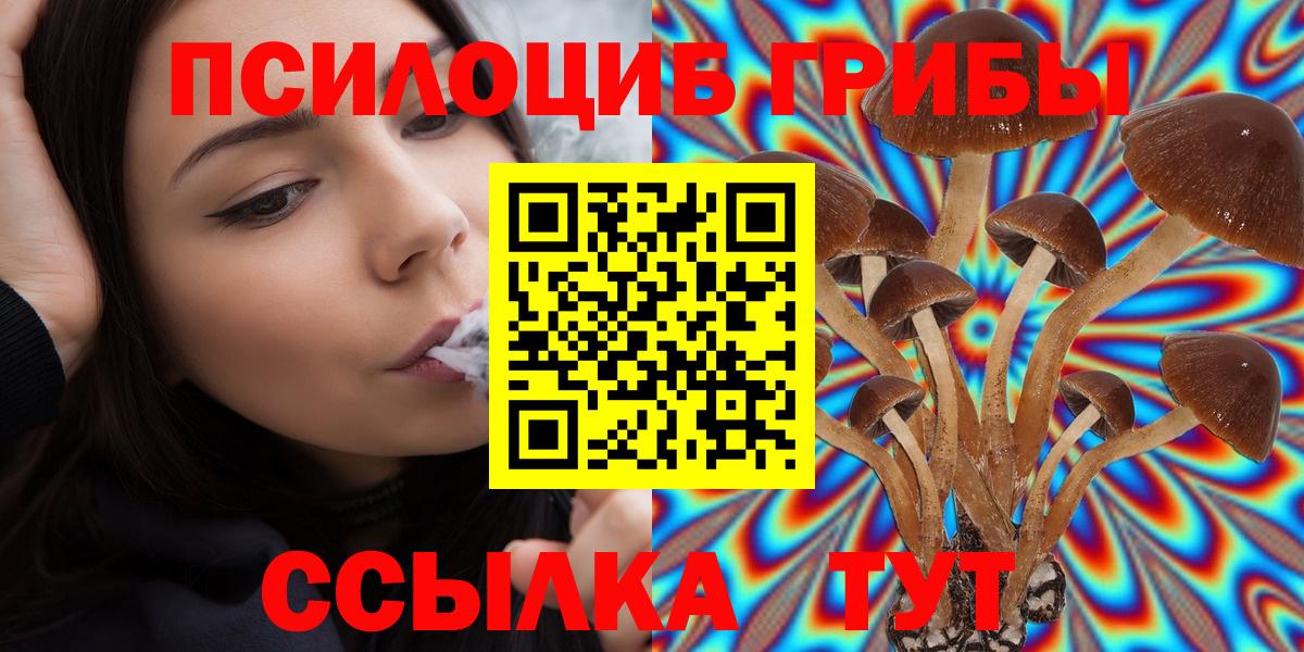 Псилоцибиновые грибы ЛСД Курчатов