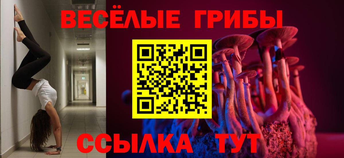 Псилоцибиновые грибы Psilocybe  Псилоцибиновые грибы GOLDEN TEACHER  Вход с VPN  Курчатов 